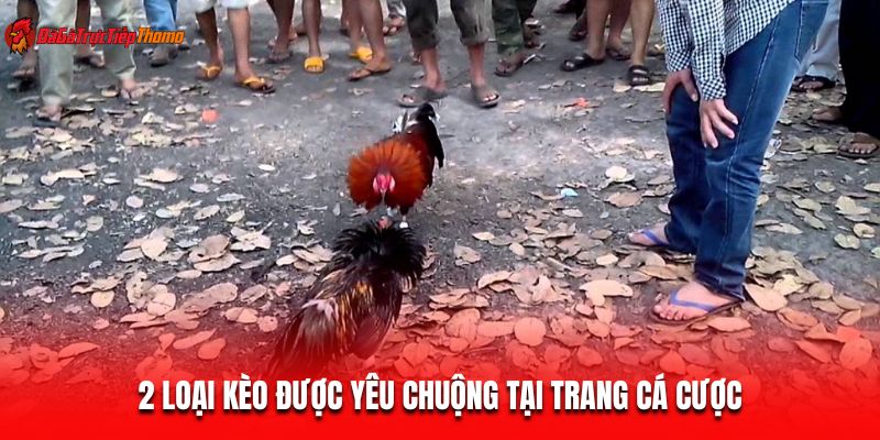 2 loại kèo được yêu chuộng tại trang cá cược