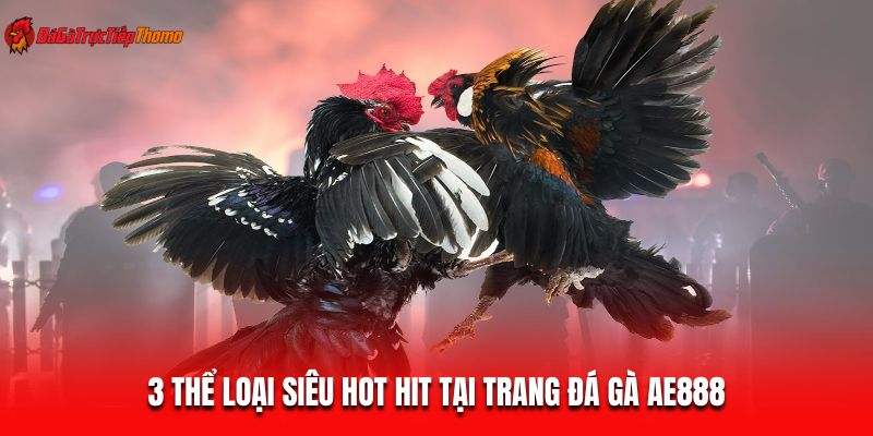 3 thể loại siêu hot hit tại trang đá gà AE888