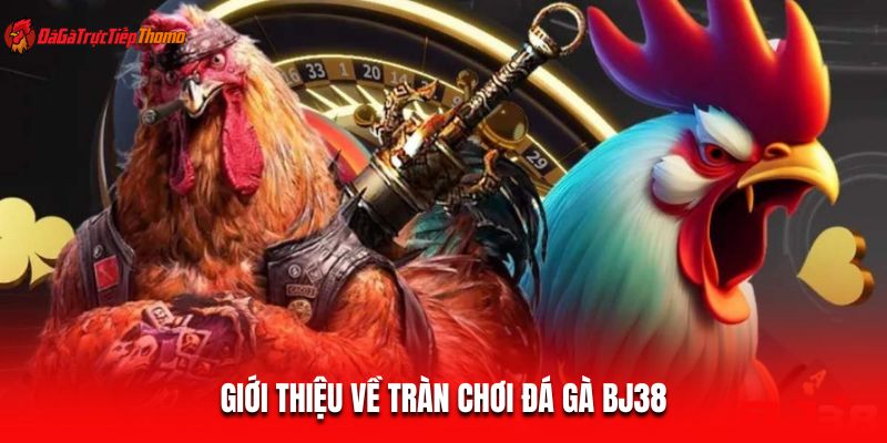 Giới thiệu về tràn chơi đá gà BJ38