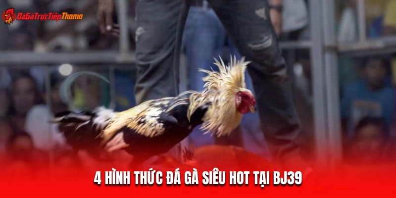 4 Hình thức đá gà siêu hot tại BJ39