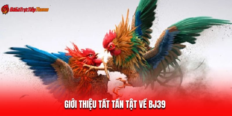 Giới thiệu tất tần tật về BJ39 