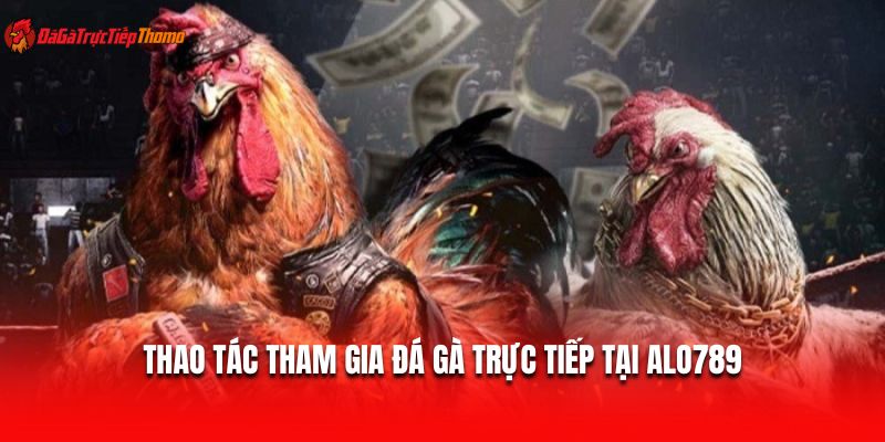 Thao tác tham gia đá gà trực tiếp tại Alo789