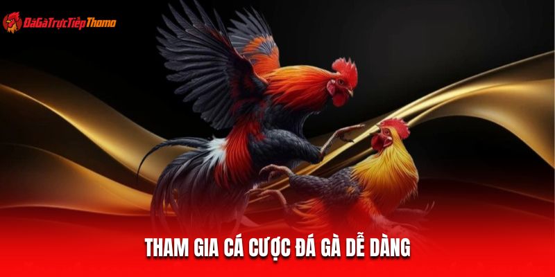Tham gia cá cược đá gà dễ dàng