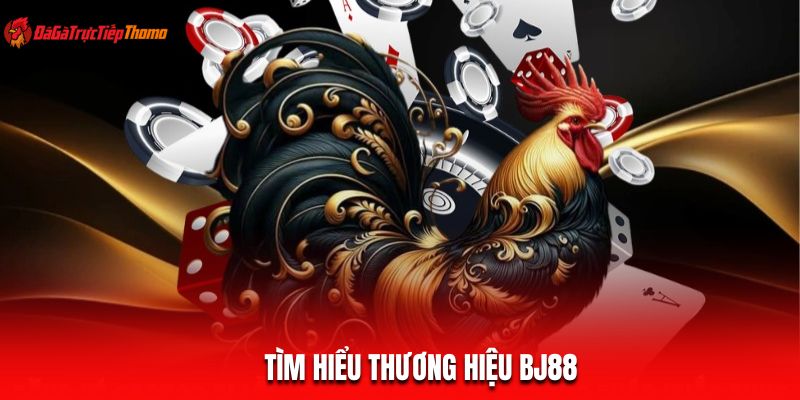 Tìm hiểu thương hiệu BJ88