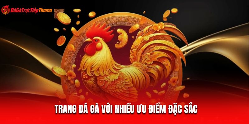 Trang đá gà với nhiều ưu điểm đặc sắc