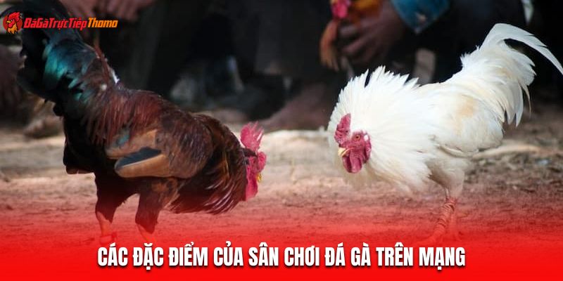 Các đặc điểm của sân chơi đá gà trên mạng