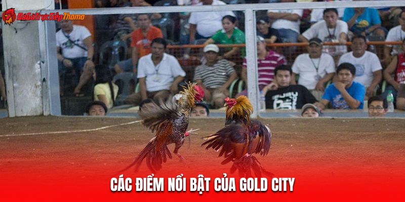 Các điểm nổi bật của Gold City