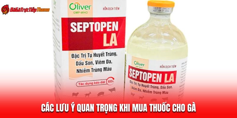 Các lưu ý quan trọng khi mua thuốc cho gà