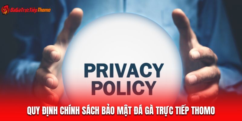 Quy định chính sách bảo mật Đá gà trực tiếp Thomo