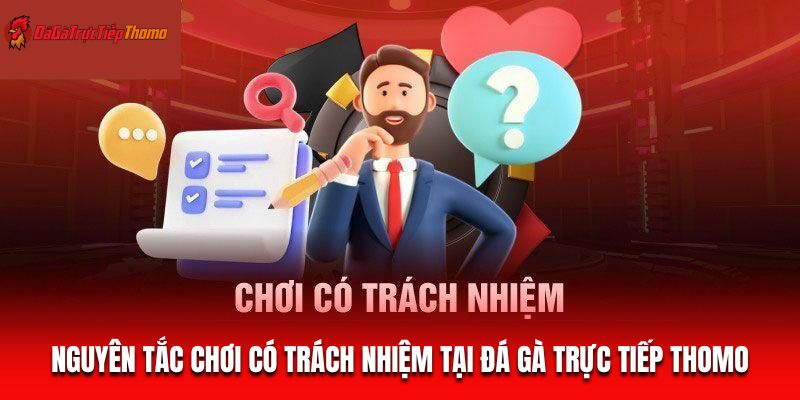 Nguyên tắc chơi có trách nhiệm tại Đá gà trực tiếp Thomo