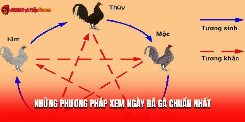 Những phương pháp xem ngày đá gà chuẩn nhất