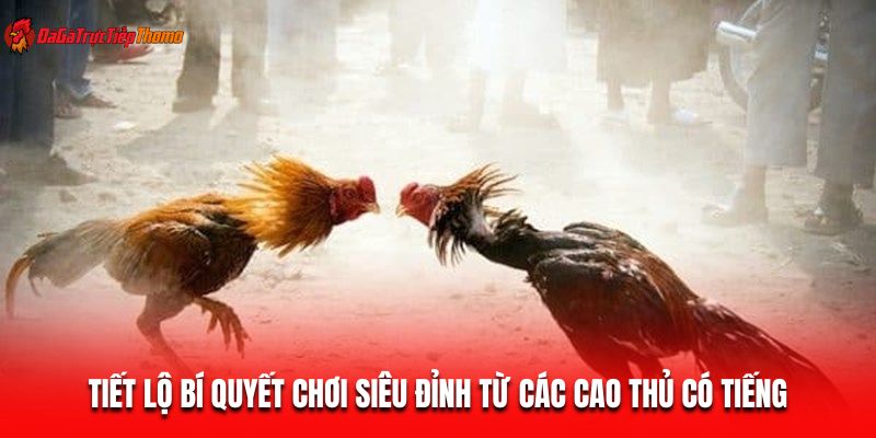 Tiết lộ bí quyết chơi siêu đỉnh từ các cao thủ có tiếng