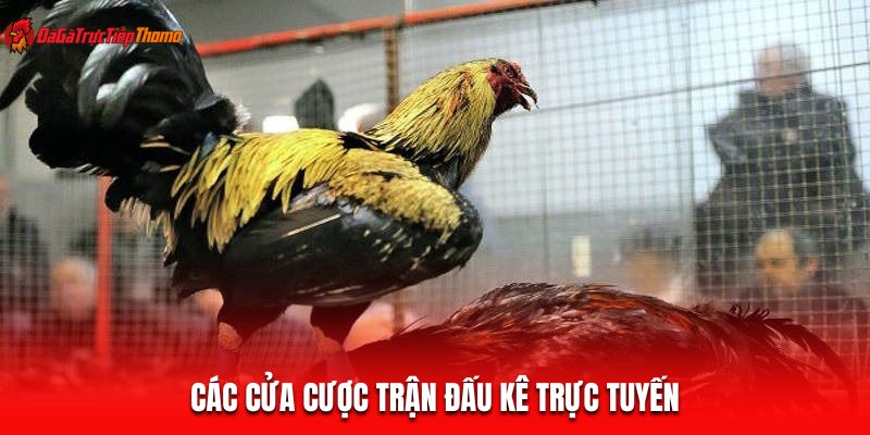 Các cửa cược trận đấu kê trực tuyến