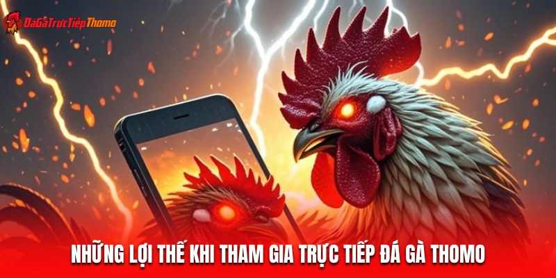 Những lợi thế khi tham gia trực tiếp đá gà thomo