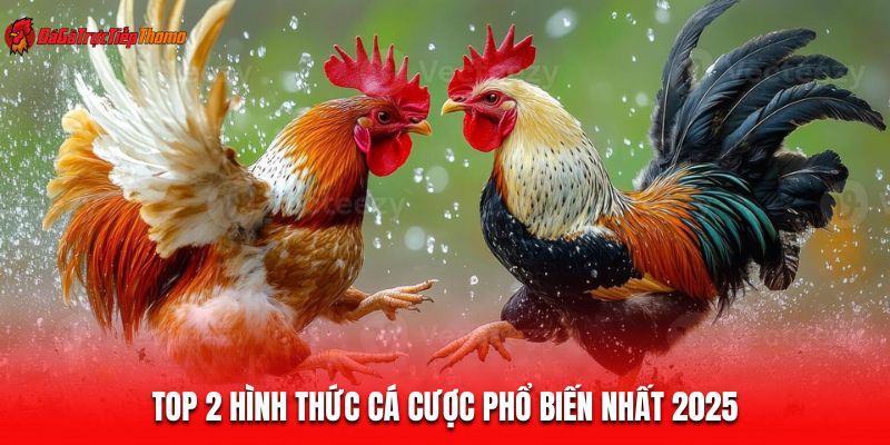 Top 2 hình thức cá cược phổ biến nhất 2025
