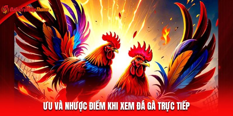 Ưu và nhược điểm khi xem đá gà trực tiếp