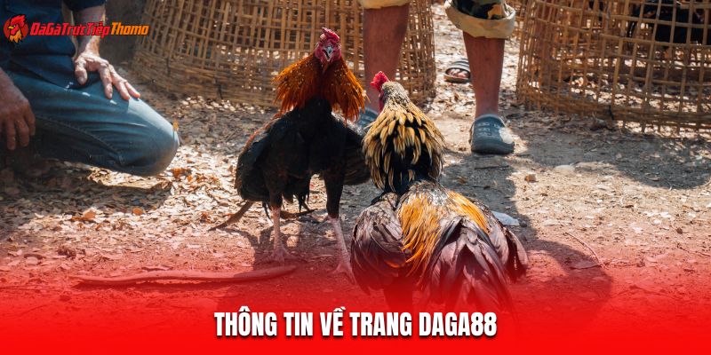 Thông tin về trang Daga88