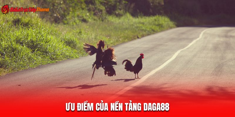 Ưu điểm của nền tảng Daga88