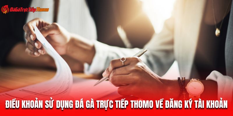 Điều khoản sử dụng Đá gà trực tiếp Thomo về đăng ký tài khoản