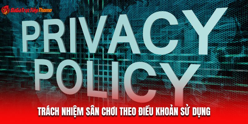 Trách nhiệm sân chơi theo điều khoản sử dụng