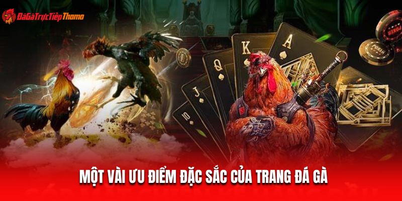 Một vài ưu điểm đặc sắc của trang đá gà