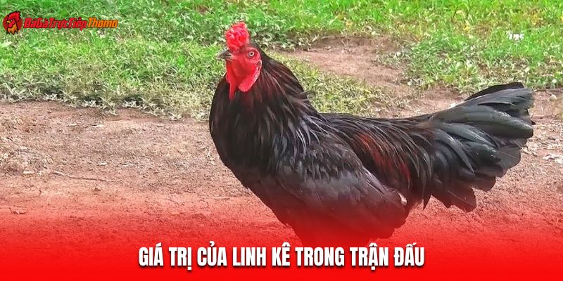 Giá trị của linh kê trong trận đấu