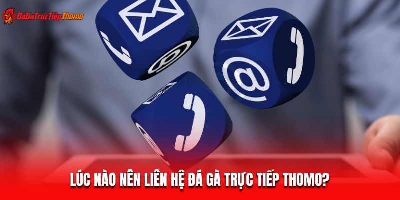 Lúc nào nên liên hệ Đá gà trực tiếp Thomo?