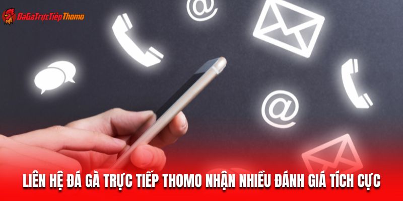 Kênh liên hệ Đá gà trực tiếp Thomo nhận nhiều đánh giá tích cực