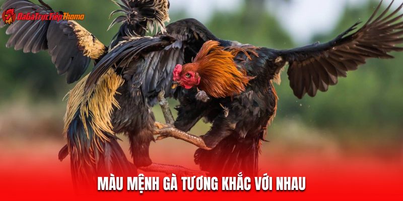 Màu mệnh gà tương khắc với nhau