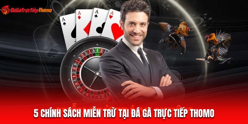 5 Chính sách miễn trừ tại Đá gà trực tiếp Thomo