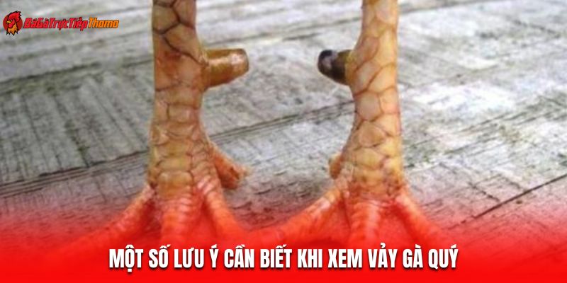Một số lưu ý cần biết khi xem vảy gà quý