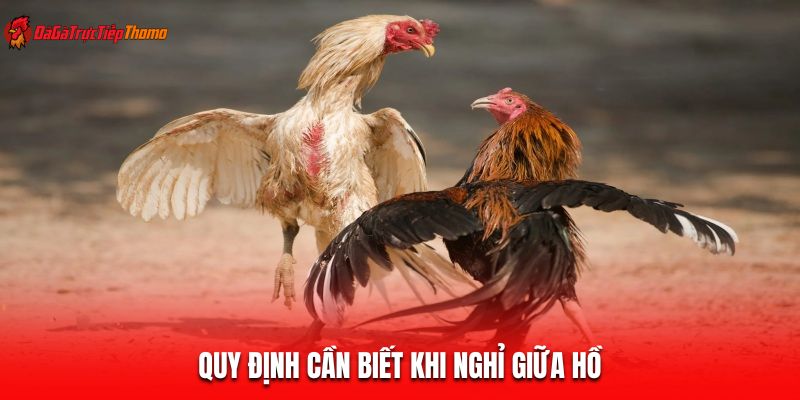 Quy định cần biết khi nghỉ giữa hồ