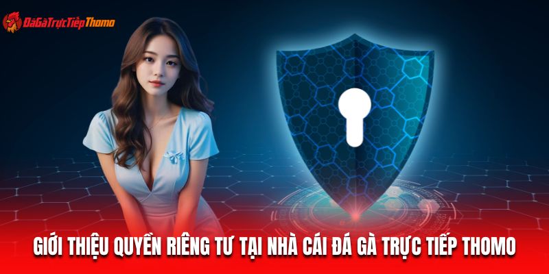 Giới thiệu quyền riêng tư tại Đá gà trực tiếp Thomo