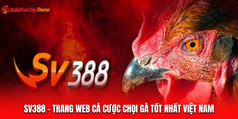 SV388