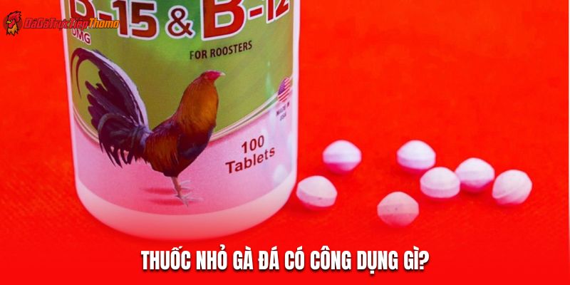 Thuốc nhỏ gà đá có công dụng gì?