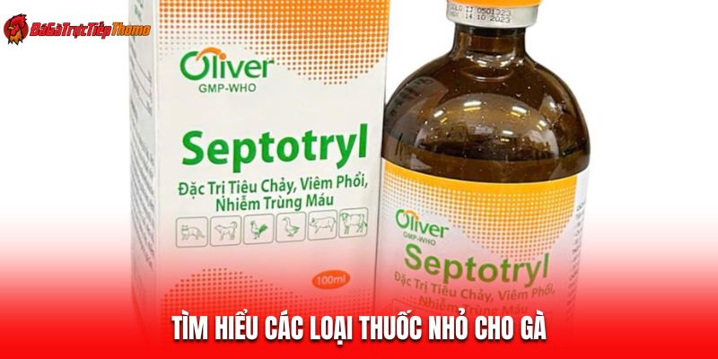 Tìm hiểu các loại thuốc nhỏ cho gà