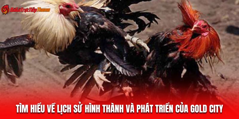 Tìm hiểu về lịch sử hình thành và phát triển của Gold CityTìm hiểu về lịch sử hình thành và phát triển của Gold City