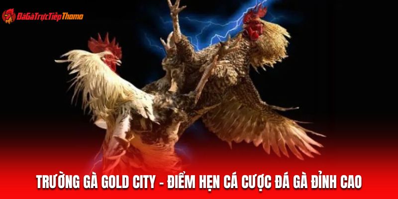 Trường Gà Gold City