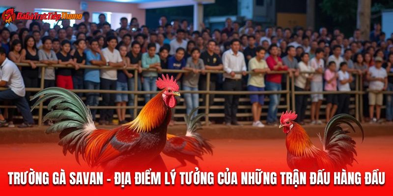 Trường Gà Savan